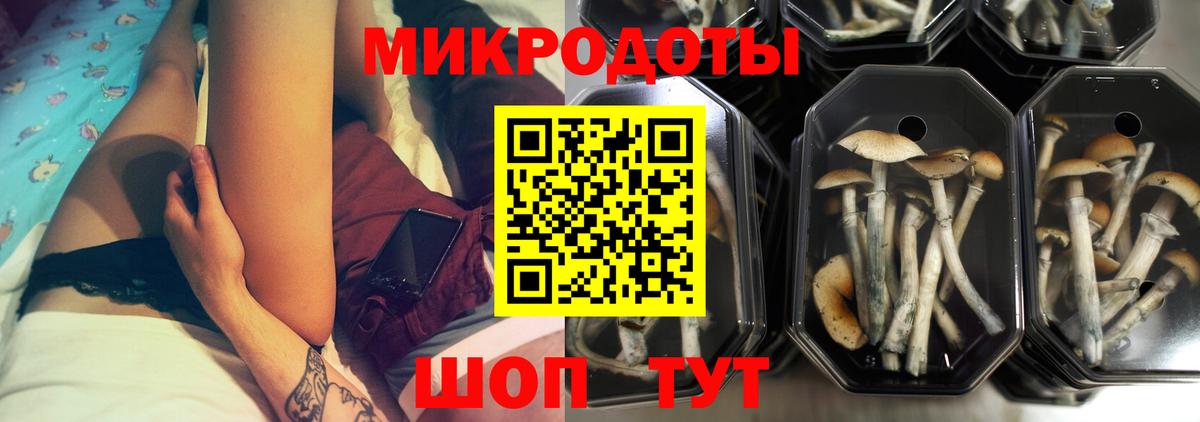 Галлюциногенные грибы прущие грибы  Вход с VPN  Новосибирск 